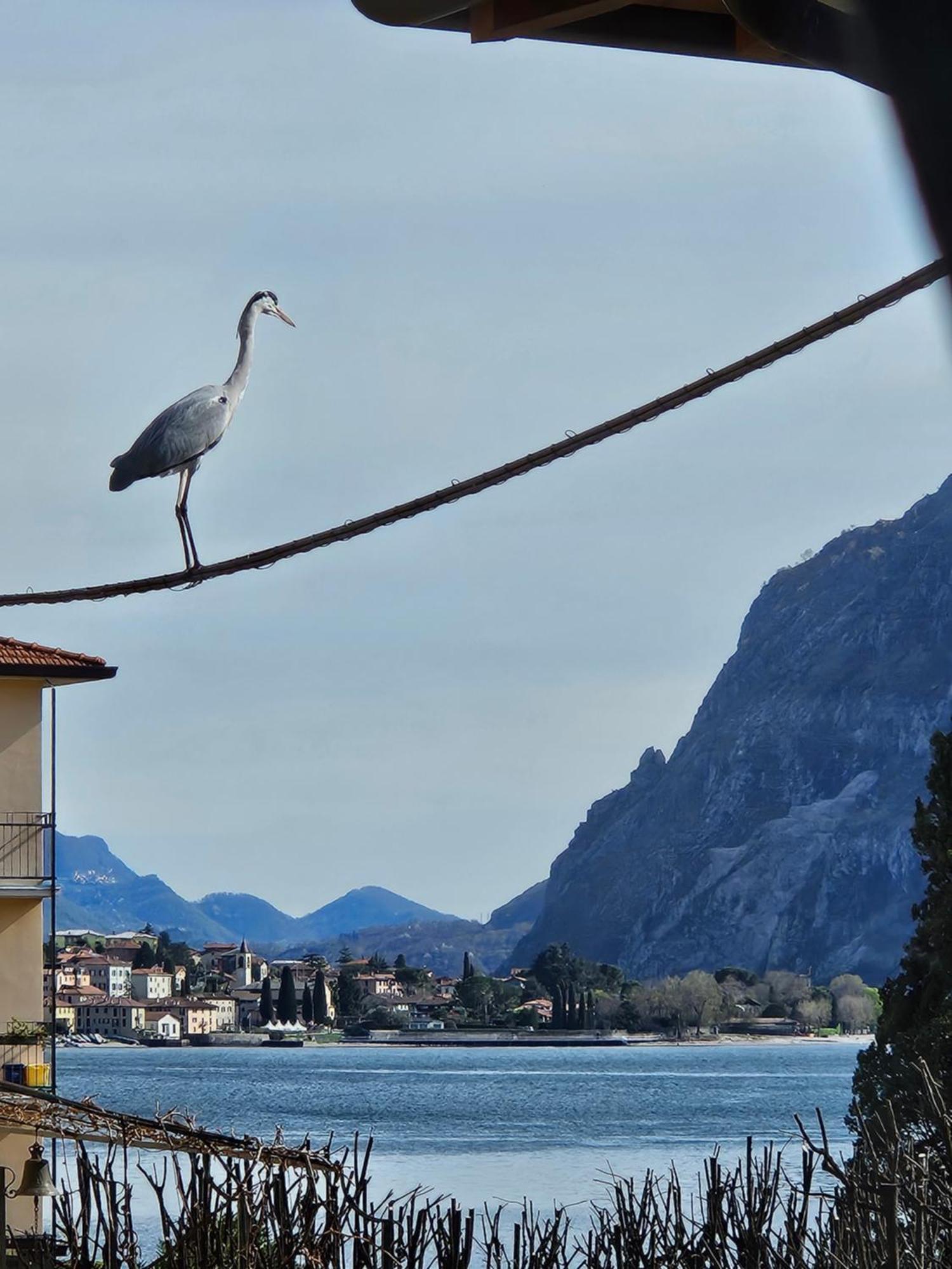 Appartement L'airone - Casa