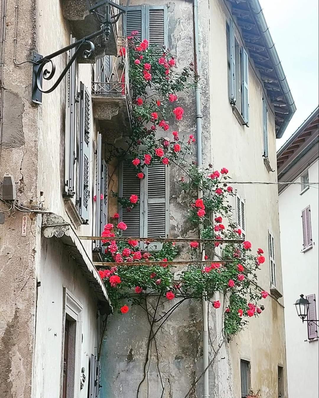 Appartement L'airone - Casa *